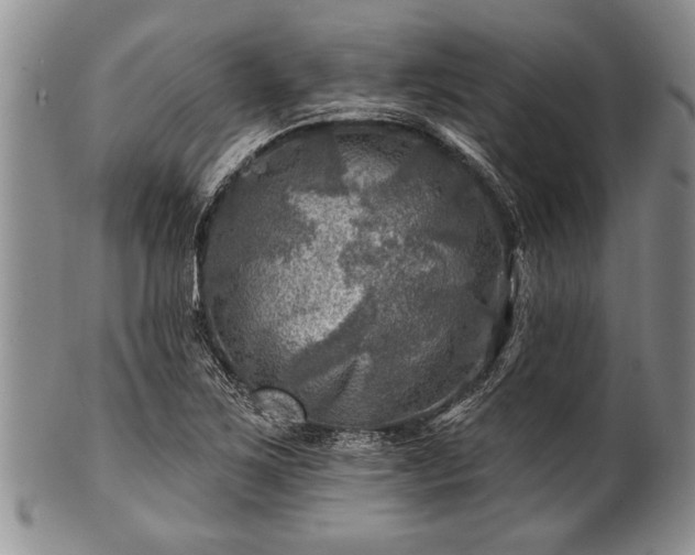 X0000100781267200806261621