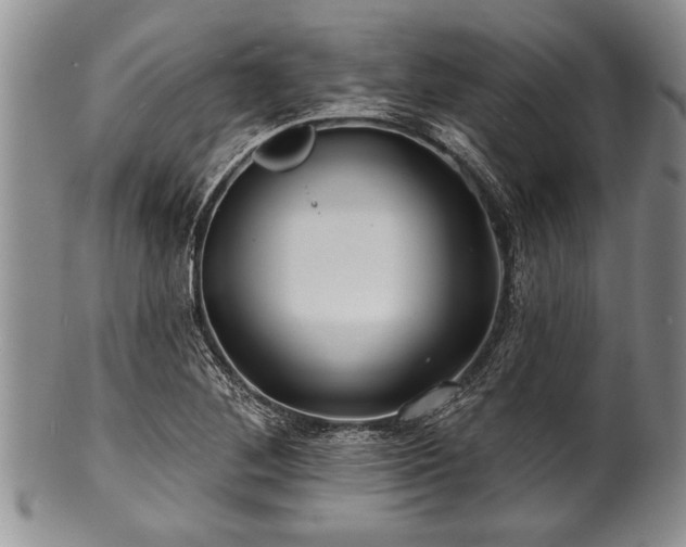 X0000100781268200806261621