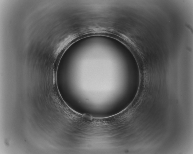 X0000100781269200806261621