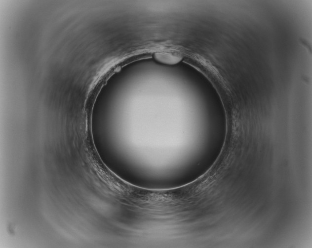 X0000100781270200806261621