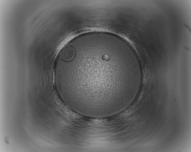 X0000100781271200806261621