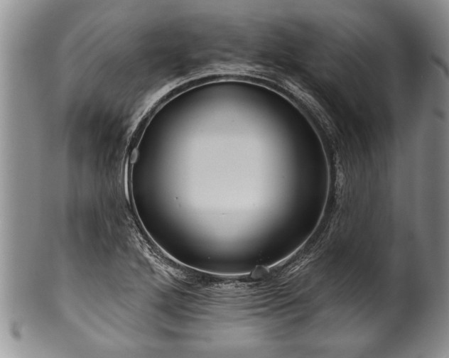 X0000100781272200806261621