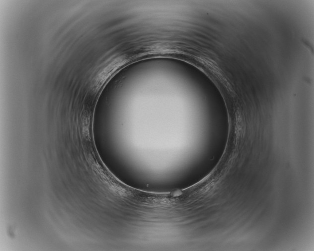 X0000100781273200806261621