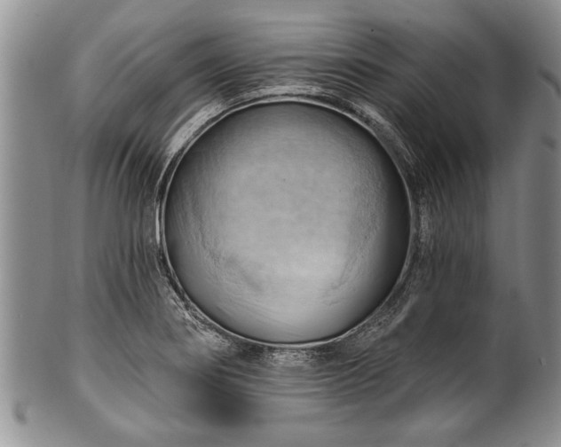 X0000100781274200806261621