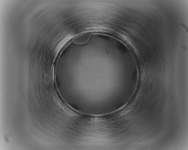 X0000100781275200806261621