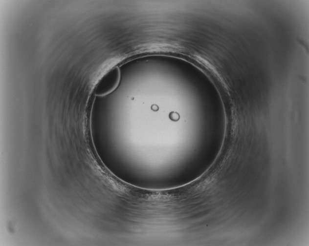 X0000100781277200806261620