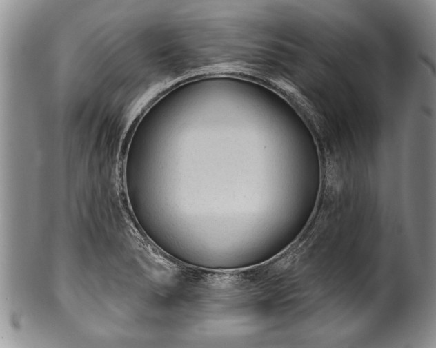 X0000100781278200806261620