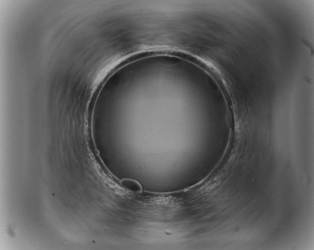 X0000100781279200806261620