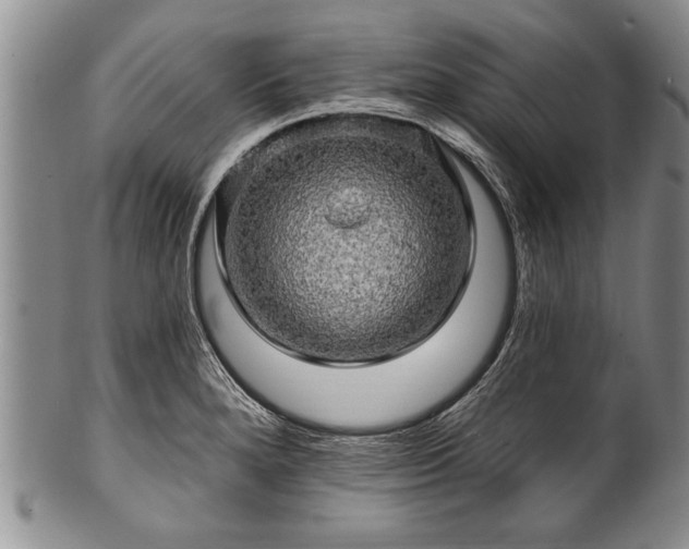 X0000100781280200806261620