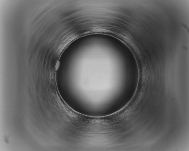 X0000100781281200806261620