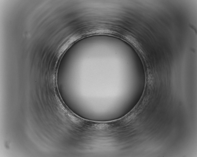 X0000100781282200806261620