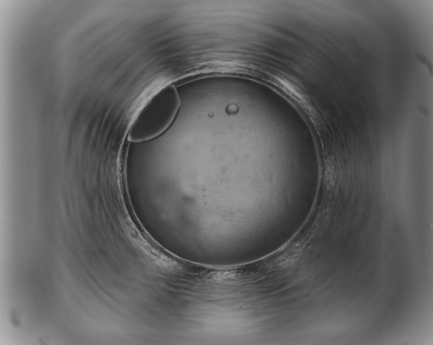 X0000100781283200806261620