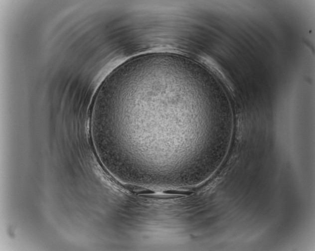 X0000100781284200806261620