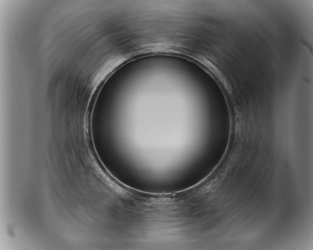 X0000100781285200806261620