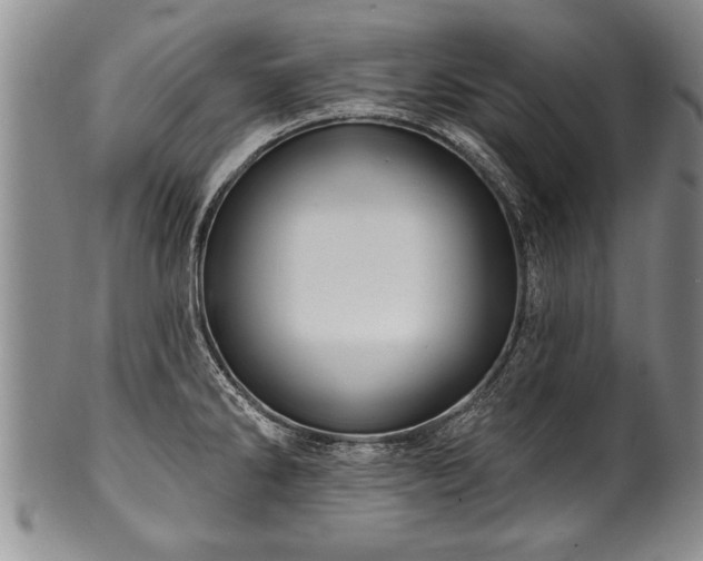 X0000100781286200806261620