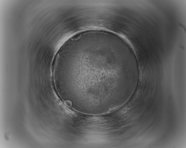 X0000100781287200806261620