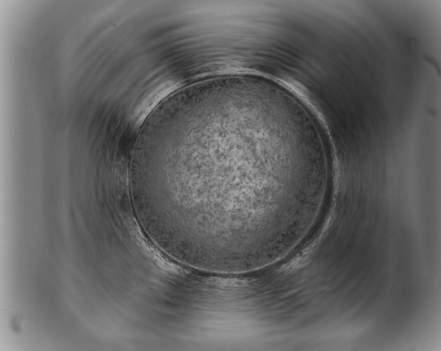 X0000100781289200806261620