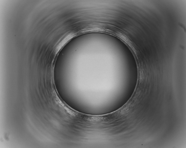 X0000100781290200806261620