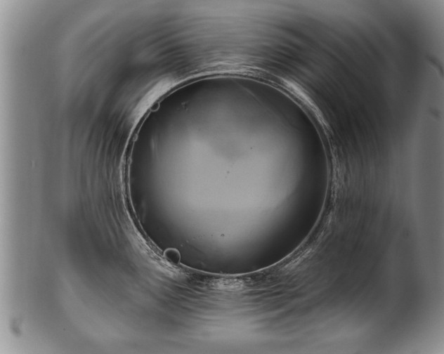 X0000100781291200806261620