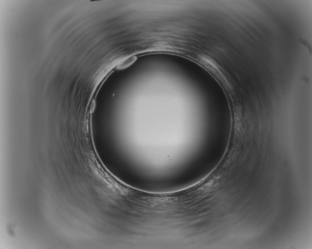 X0000100781292200806261620