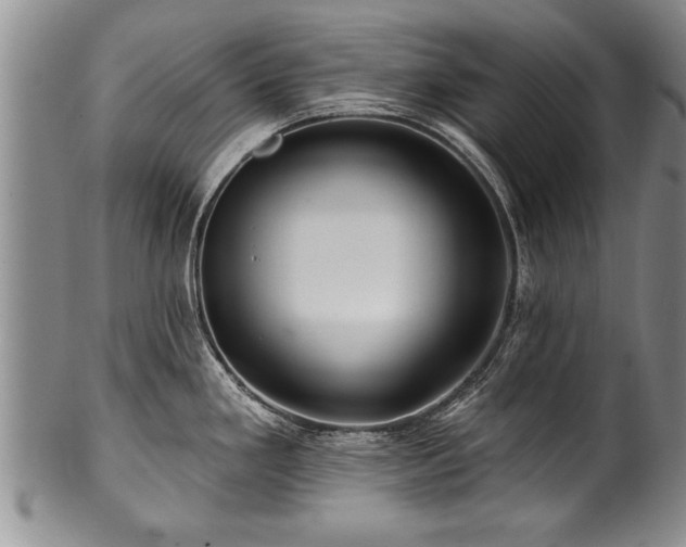 X0000100781293200806261620