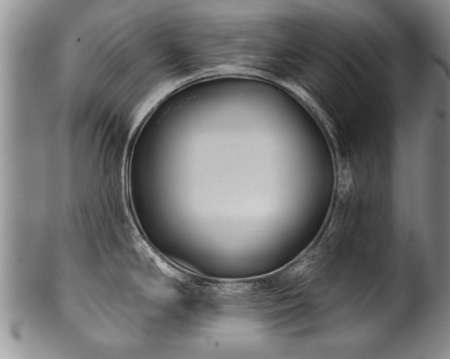 X0000100781294200806261620