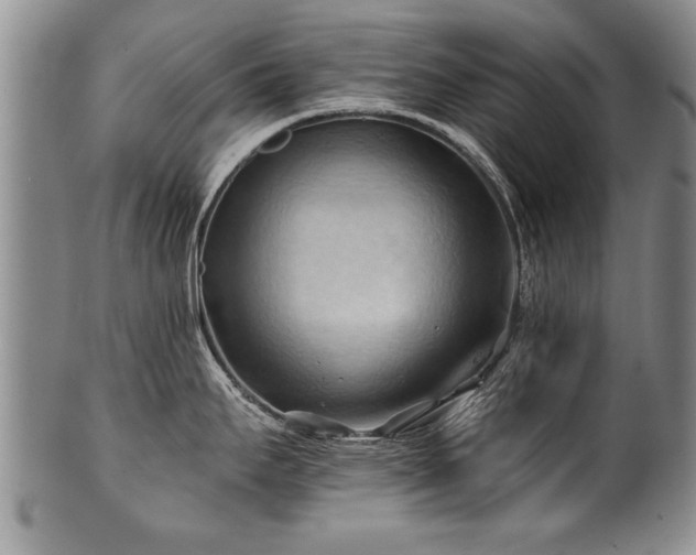 X0000100781295200806261620