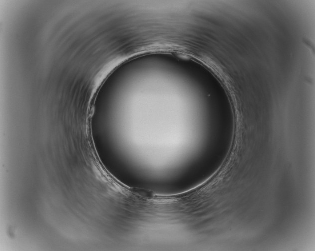 X0000100781296200806261620