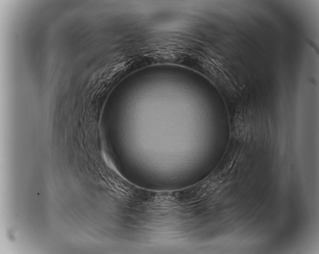 X0000100781297200806261619