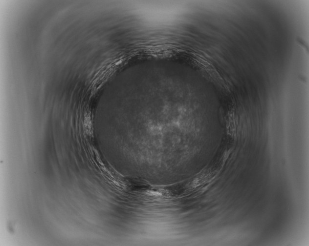 X0000100781298200806261620