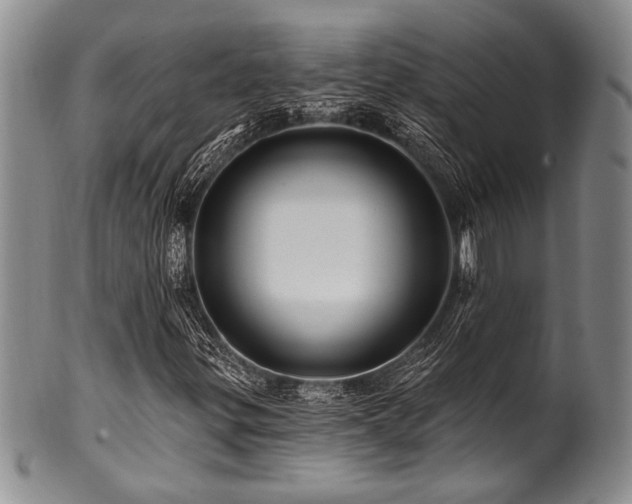 X0000100781299200806261620