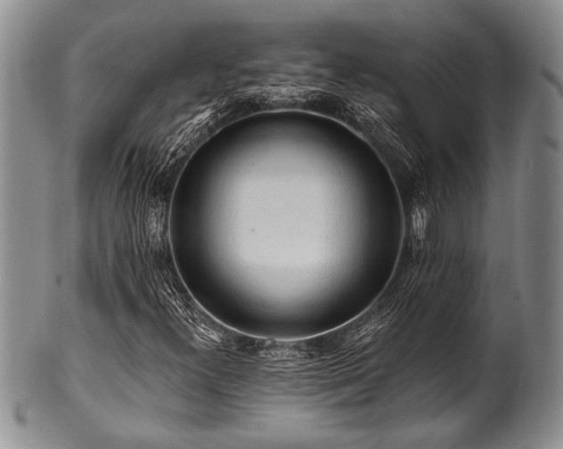 X0000100781300200806261620