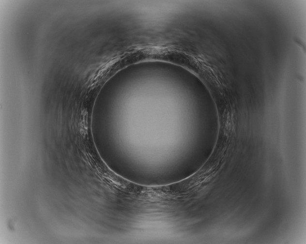 X0000100781301200806261620