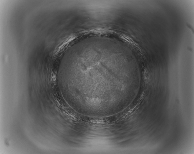 X0000100781302200806261620