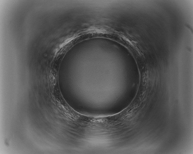 X0000100781303200806261620