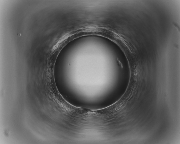 X0000100781304200806261620