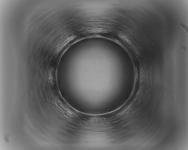 X0000100781305200806261620