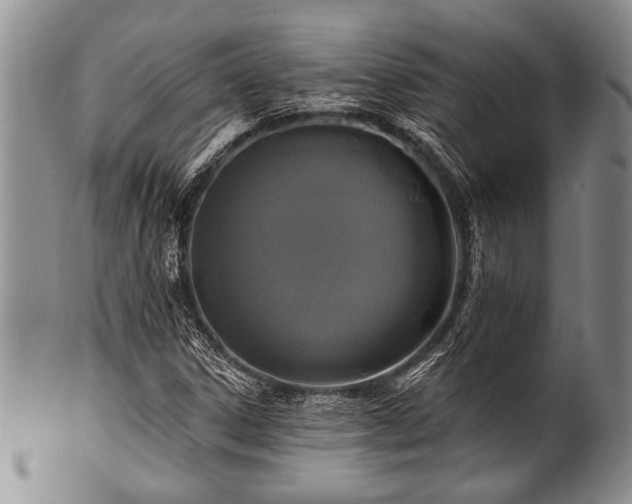 X0000100781306200806261620