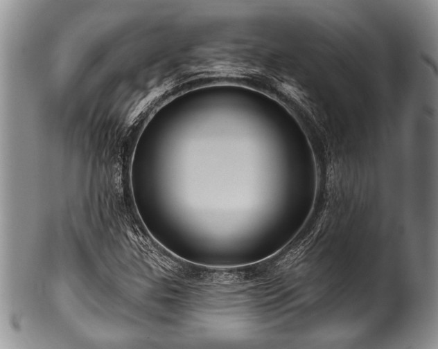 X0000100781307200806261620