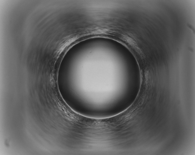 X0000100781308200806261620