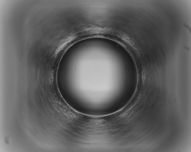 X0000100781309200806261620