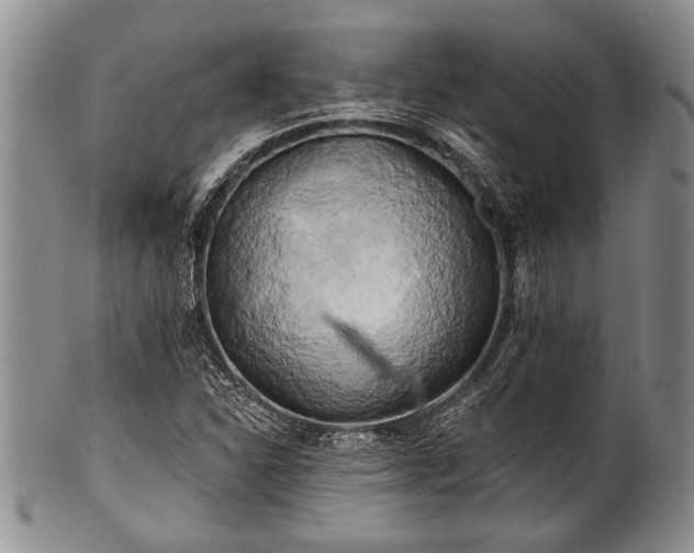 X0000100781310200806261620