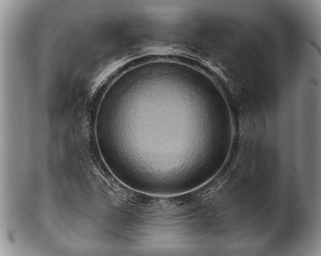 X0000100781311200806261620