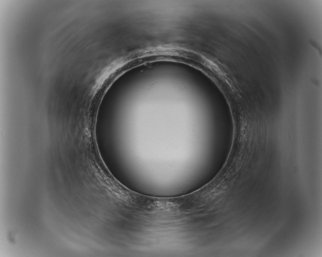 X0000100781312200806261620