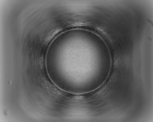 X0000100781313200806261620