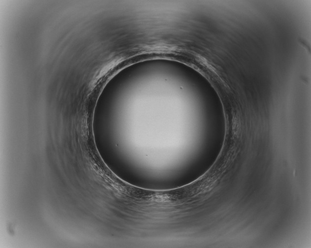 X0000100781315200806261620