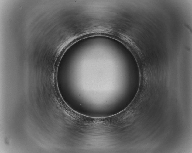 X0000100781316200806261620