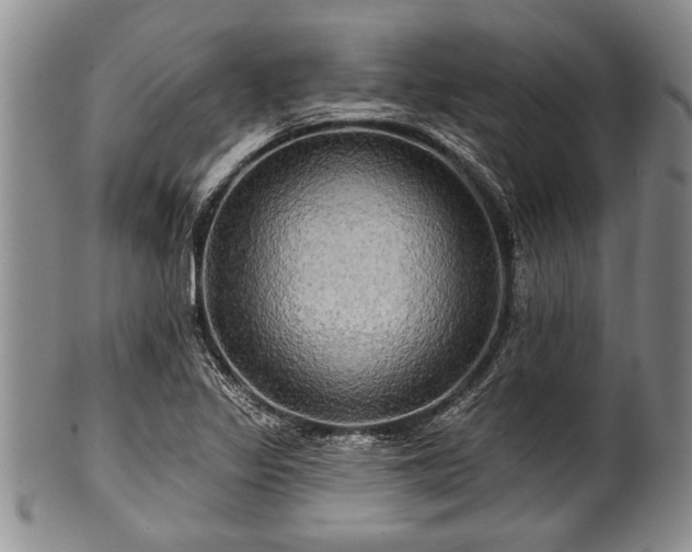 X0000100781317200806261620