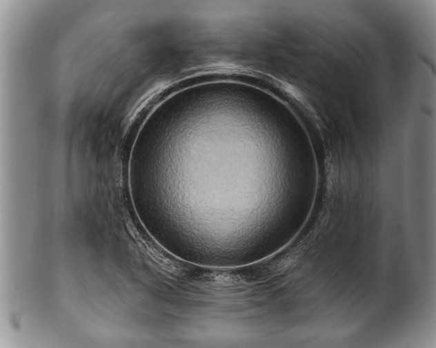 X0000100781318200806261620