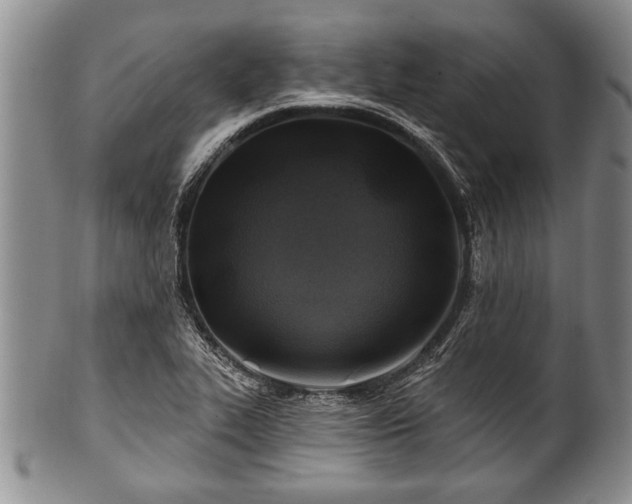 X0000100781319200806261620